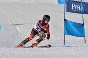 FIS Baltic Cup 2018 3. posms, jauniešu un meistaru GS, Foto: Emīls Lukšo