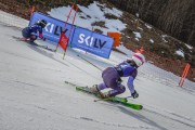 FIS Baltijas kauss 2022 4.posms, FIS paralēlais slaloms, Foto: E.Lukšo