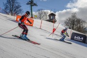 FIS Baltijas kauss 2022 4.posms, FIS paralēlais slaloms, Foto: E.Lukšo