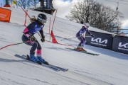 FIS Baltijas kauss 2022 4.posms, FIS paralēlais slaloms, Foto: E.Lukšo