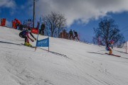 FIS Baltijas kauss 2022 4.posms, FIS paralēlais slaloms, Foto: E.Lukšo