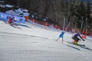 FIS Baltijas kauss 2022 4.posms, FIS paralēlais slaloms, Foto: E.Lukšo