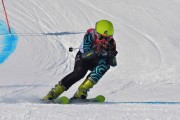 FIS Baltic Cup 2018 3. posms, jauniešu un meistaru GS, Foto: Emīls Lukšo