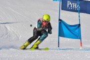 FIS Baltic Cup 2018 3. posms, jauniešu un meistaru GS, Foto: Emīls Lukšo