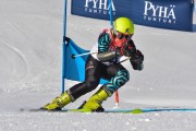 FIS Baltic Cup 2018 3. posms, jauniešu un meistaru GS, Foto: Emīls Lukšo