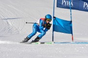 FIS Baltic Cup 2018 3. posms, jauniešu un meistaru GS, Foto: Emīls Lukšo