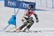 FIS Baltic Cup 2018 3. posms, jauniešu un meistaru GS, Foto: Emīls Lukšo