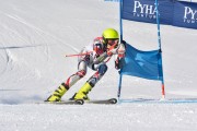 FIS Baltic Cup 2018 3. posms, jauniešu un meistaru GS, Foto: Emīls Lukšo