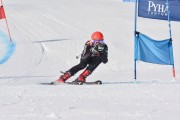 FIS Baltic Cup 2018 3. posms, jauniešu un meistaru GS, Foto: Emīls Lukšo