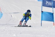 FIS Baltic Cup 2018 3. posms, jauniešu un meistaru GS, Foto: Emīls Lukšo