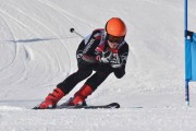 FIS Baltic Cup 2018 3. posms, jauniešu un meistaru GS, Foto: Emīls Lukšo