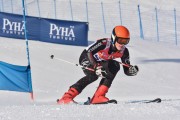 FIS Baltic Cup 2018 3. posms, jauniešu un meistaru GS, Foto: Emīls Lukšo