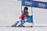 FIS Baltic Cup 2018 3. posms, jauniešu un meistaru GS, Foto: Emīls Lukšo