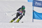 FIS Baltic Cup 2018 3. posms, jauniešu un meistaru GS, Foto: Emīls Lukšo