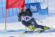 FIS Baltic Cup 2018 3. posms, jauniešu un meistaru GS, Foto: Emīls Lukšo