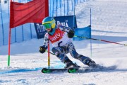 FIS Baltic Cup 2018 3. posms, jauniešu un meistaru GS, Foto: Emīls Lukšo