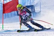 FIS Baltic Cup 2018 3. posms, jauniešu un meistaru GS, Foto: Emīls Lukšo