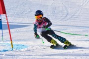 FIS Baltic Cup 2018 3. posms, jauniešu un meistaru GS, Foto: Emīls Lukšo