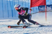 FIS Baltic Cup 2018 3. posms, jauniešu un meistaru GS, Foto: Emīls Lukšo