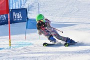 FIS Baltic Cup 2018 3. posms, jauniešu un meistaru GS, Foto: Emīls Lukšo