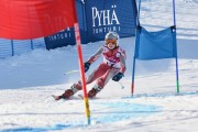 FIS Baltic Cup 2018 3. posms, jauniešu un meistaru GS, Foto: Emīls Lukšo