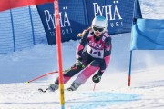 FIS Baltic Cup 2018 3. posms, jauniešu un meistaru GS, Foto: Emīls Lukšo