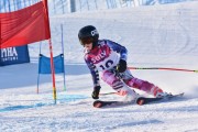 FIS Baltic Cup 2018 3. posms, jauniešu un meistaru GS, Foto: Emīls Lukšo