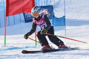 FIS Baltic Cup 2018 3. posms, jauniešu un meistaru GS, Foto: Emīls Lukšo