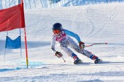 FIS Baltic Cup 2018 3. posms, jauniešu un meistaru GS, Foto: Emīls Lukšo