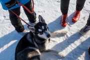 FIS Latvijas Čempionāts 2018 otrais posms, sprints C, Foto: Jānis Vīksna