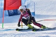 FIS Baltic Cup 2018 3. posms, jauniešu un meistaru GS, Foto: Emīls Lukšo