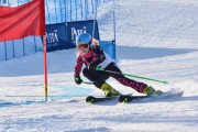 FIS Baltic Cup 2018 3. posms, jauniešu un meistaru GS, Foto: Emīls Lukšo