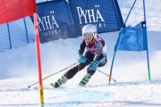 FIS Baltic Cup 2018 3. posms, jauniešu un meistaru GS, Foto: Emīls Lukšo