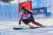 FIS Baltic Cup 2018 3. posms, jauniešu un meistaru GS, Foto: Emīls Lukšo