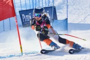 FIS Baltic Cup 2018 3. posms, jauniešu un meistaru GS, Foto: Emīls Lukšo