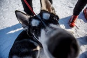 FIS Latvijas Čempionāts 2018 otrais posms, sprints C, Foto: Jānis Vīksna