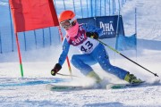 FIS Baltic Cup 2018 3. posms, jauniešu un meistaru GS, Foto: Emīls Lukšo