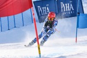 FIS Baltic Cup 2018 3. posms, jauniešu un meistaru GS, Foto: Emīls Lukšo