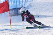 FIS Baltic Cup 2018 3. posms, jauniešu un meistaru GS, Foto: Emīls Lukšo