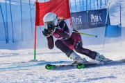 FIS Baltic Cup 2018 3. posms, jauniešu un meistaru GS, Foto: Emīls Lukšo