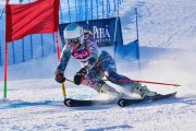 FIS Baltic Cup 2018 3. posms, jauniešu un meistaru GS, Foto: Emīls Lukšo