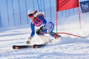 FIS Baltic Cup 2018 3. posms, jauniešu un meistaru GS, Foto: Emīls Lukšo