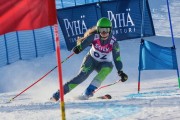 FIS Baltic Cup 2018 3. posms, jauniešu un meistaru GS, Foto: Emīls Lukšo