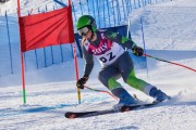 FIS Baltic Cup 2018 3. posms, jauniešu un meistaru GS, Foto: Emīls Lukšo