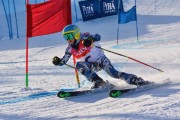 FIS Baltic Cup 2018 3. posms, jauniešu un meistaru GS, Foto: Emīls Lukšo