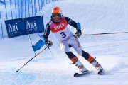 FIS Baltic Cup 2018 3. posms, jauniešu un meistaru GS, Foto: Emīls Lukšo