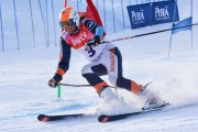 FIS Baltic Cup 2018 3. posms, jauniešu un meistaru GS, Foto: Emīls Lukšo