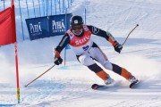 FIS Baltic Cup 2018 3. posms, jauniešu un meistaru GS, Foto: Emīls Lukšo