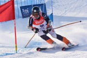 FIS Baltic Cup 2018 3. posms, jauniešu un meistaru GS, Foto: Emīls Lukšo