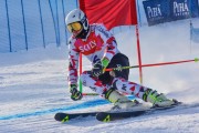 FIS Baltic Cup 2018 3. posms, jauniešu un meistaru GS, Foto: Emīls Lukšo